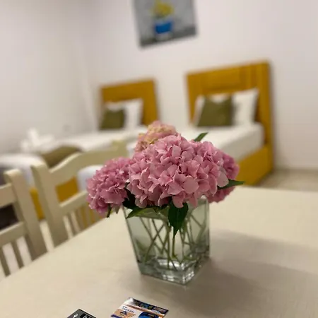 D&d 사밀
